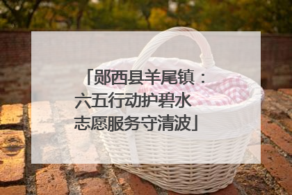 郧西县羊尾镇：六五行动护碧水 志愿服务守清波