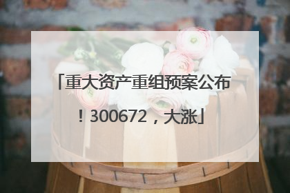重大资产重组预案公布！300672，大涨