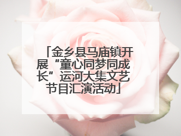 金乡县马庙镇开展“童心同梦同成长”运河大集文艺节目汇演活动