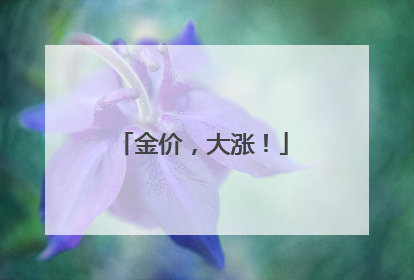 金价，大涨！