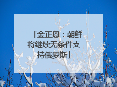 金正恩：朝鲜将继续无条件支持俄罗斯