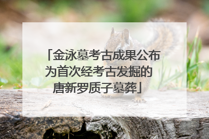 金泳墓考古成果公布 为首次经考古发掘的唐新罗质子墓葬
