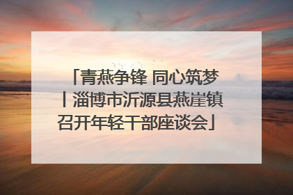 青燕争锋 同心筑梦丨淄博市沂源县燕崖镇召开年轻干部座谈会