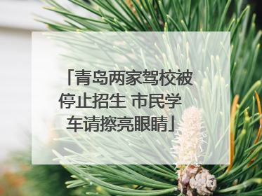 青岛两家驾校被停止招生 市民学车请擦亮眼睛