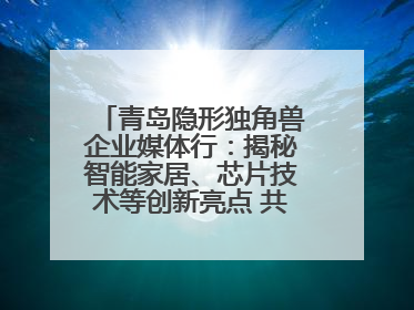 青岛隐形独角兽企业媒体行：揭秘智能家居、芯片技术等创新亮点 共绘科技新篇章