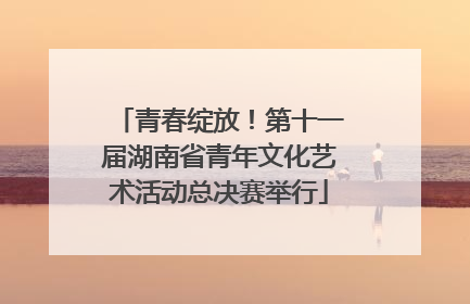青春绽放！第十一届湖南省青年文化艺术活动总决赛举行