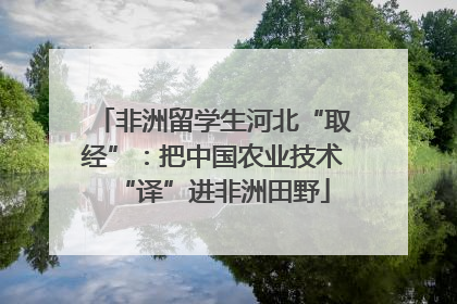 非洲留学生河北“取经”：把中国农业技术“译”进非洲田野