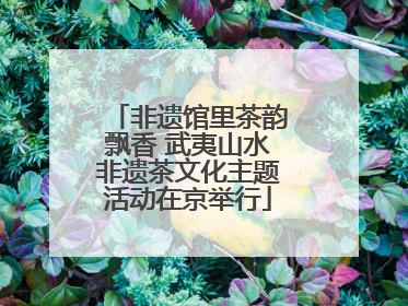 非遗馆里茶韵飘香 武夷山水非遗茶文化主题活动在京举行
