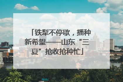 铁犁不停歇，播种新希望——山东“三夏”抢收抢种忙