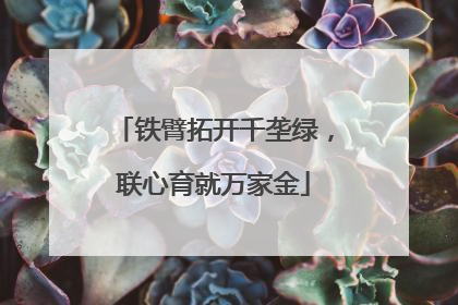铁臂拓开千垄绿，联心育就万家金