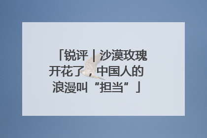 锐评｜沙漠玫瑰开花了，中国人的浪漫叫“担当”
