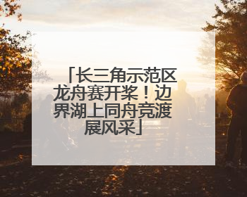 长三角示范区龙舟赛开桨！边界湖上同舟竞渡展风采
