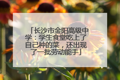长沙市金阳高级中学：学生食堂吃上了自己种的菜，还出现了一批劳动能手