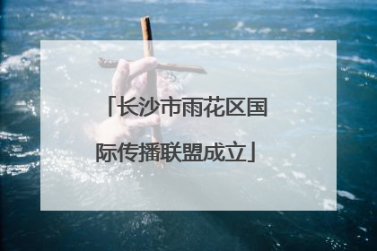 长沙市雨花区国际传播联盟成立