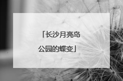 长沙月亮岛公园的蝶变