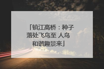 镇江高桥：种子落处飞鸟至 人鸟和谐趣景来