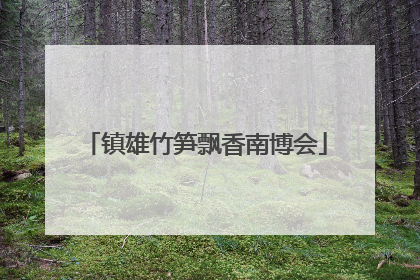 镇雄竹笋飘香南博会