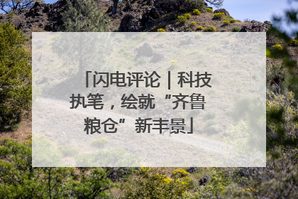 闪电评论｜科技执笔，绘就“齐鲁粮仓”新丰景