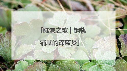 陆港之歌｜钢轨铺就的深蓝梦