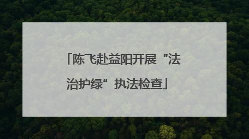 陈飞赴益阳开展“法治护绿”执法检查