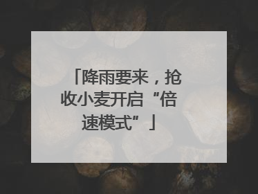 降雨要来，抢收小麦开启“倍速模式”