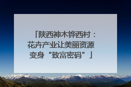 陕西神木铧西村：花卉产业让美丽资源变身“致富密码”