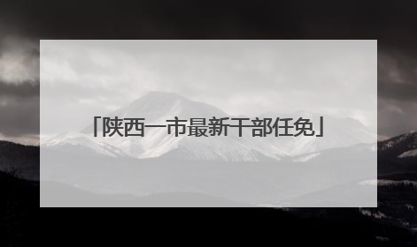 陕西一市最新干部任免