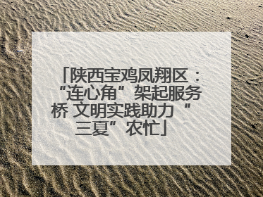 陕西宝鸡凤翔区：“连心角”架起服务桥 文明实践助力“三夏”农忙