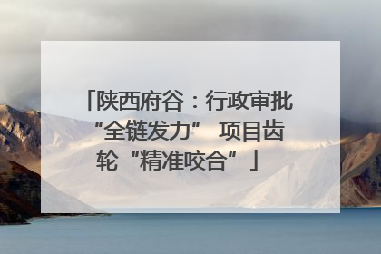 陕西府谷：行政审批“全链发力” 项目齿轮“精准咬合”