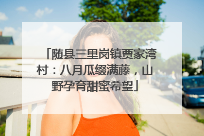 随县三里岗镇贾家湾村：八月瓜缀满藤，山野孕育甜蜜希望