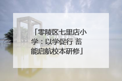 零陵区七里店小学：以学促行 蓄能启航校本研修