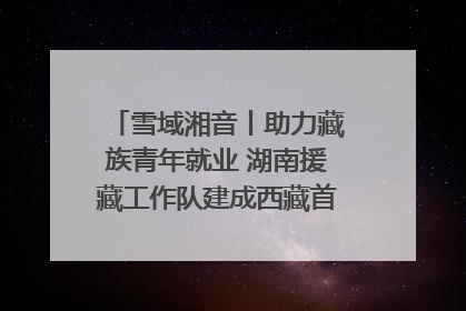 雪域湘音丨助力藏族青年就业 湖南援藏工作队建成西藏首个清洁能源装备园