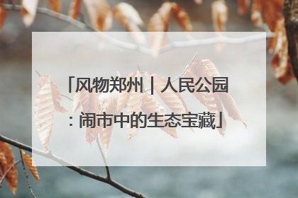 风物郑州｜人民公园：闹市中的生态宝藏