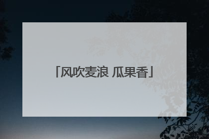 风吹麦浪 瓜果香