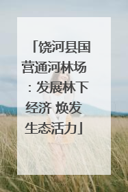 饶河县国营通河林场：发展林下经济 焕发生态活力