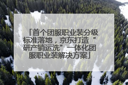 首个团服职业装分级标准落地，京东打造“研产销运洗”一体化团服职业装解决方案