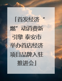 首发经济“燃”动消费新引擎 泰安市举办首店经济项目品牌入驻推进会