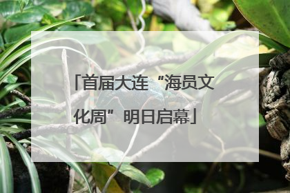 首届大连“海员文化周”明日启幕