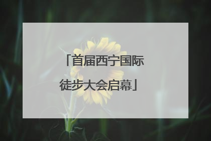 首届西宁国际徒步大会启幕