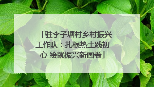 驻李子塘村乡村振兴工作队：扎根热土践初心 绘就振兴新画卷