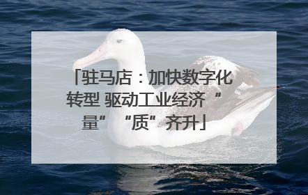 驻马店：加快数字化转型 驱动工业经济“量”“质”齐升