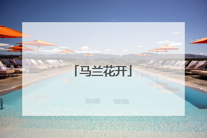 马兰花开