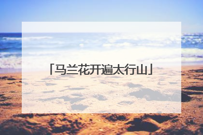 马兰花开遍太行山