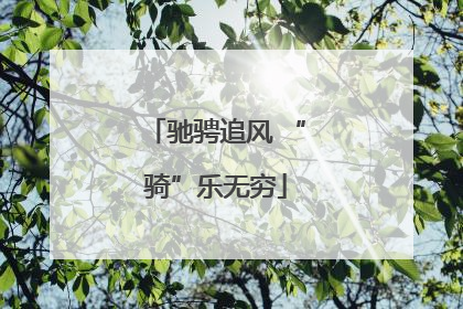 驰骋追风 “骑”乐无穷