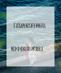高唐秸秆画亮相中国美术馆