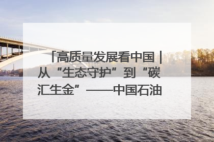 高质量发展看中国｜从“生态守护”到“碳汇生金”——中国石油大庆油田绿色蝶变