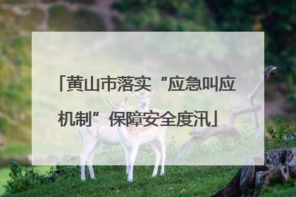 黄山市落实“应急叫应机制”保障安全度汛