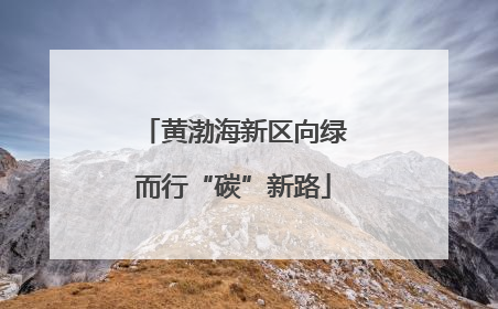 黄渤海新区向绿而行“碳”新路