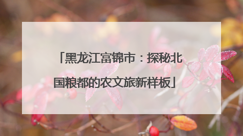 黑龙江富锦市：探秘北国粮都的农文旅新样板