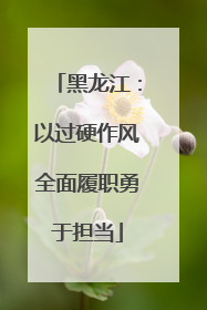 黑龙江：以过硬作风全面履职勇于担当